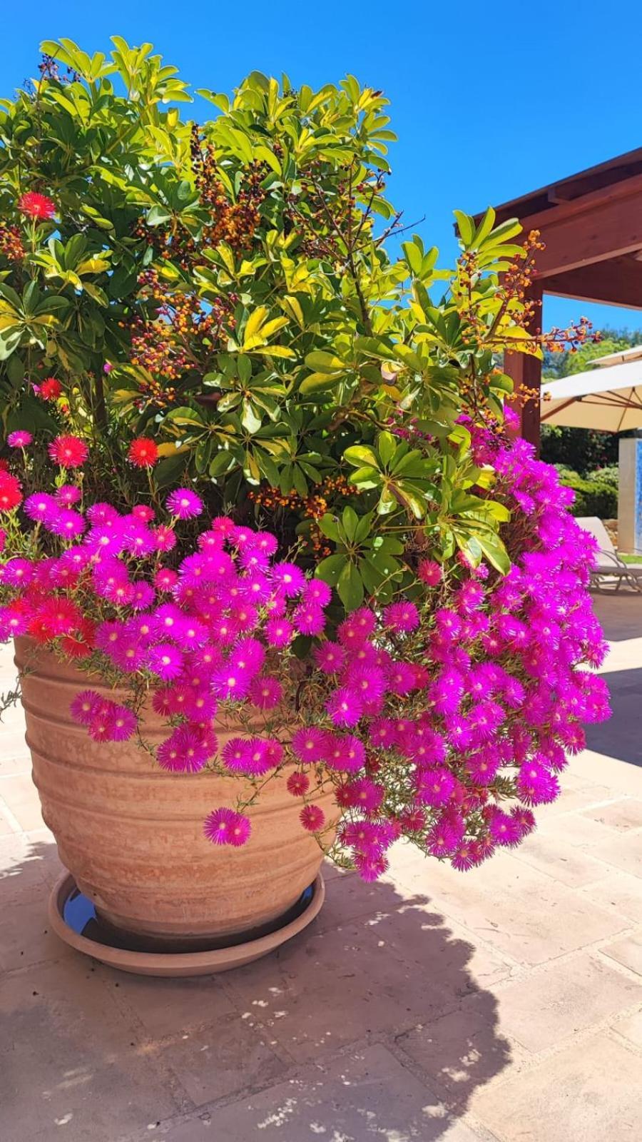 Villa Unidera Sakarya Dış mekan fotoğraf