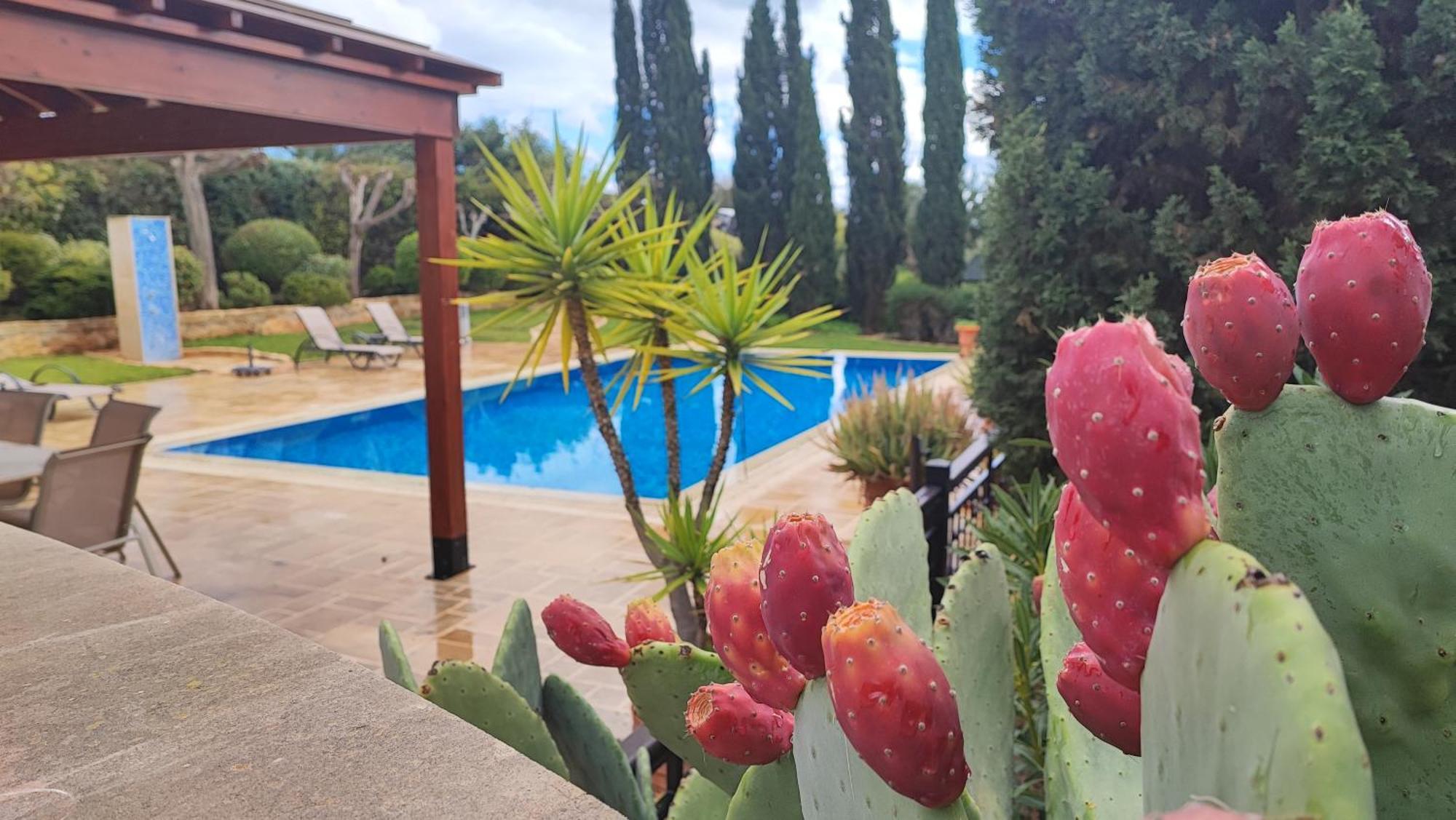 Villa Unidera Sakarya Dış mekan fotoğraf